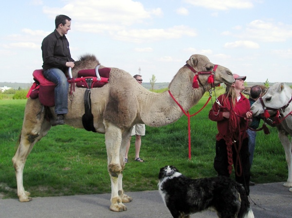 Letztes Bild erreicht